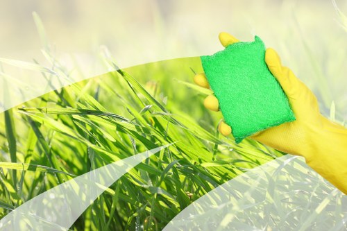 Professional stain removal service for carpets and upholstery in Roehampton homes