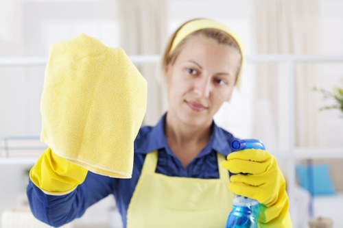 Regular cleaning for Roehampton homes and apartments