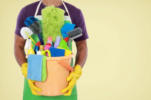 Professional deep cleaning service for a Roehampton home