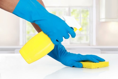 Detailed kitchen and bathroom deep clean in Roehampton