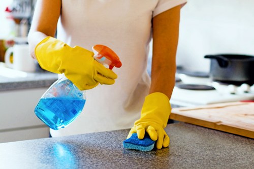 Trustworthy Cleaner Roehampton concept showing polished, hygienic living space