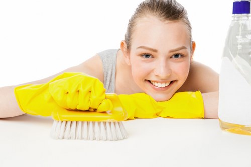Thorough kitchen cleaning during move in cleaning in Roehampton