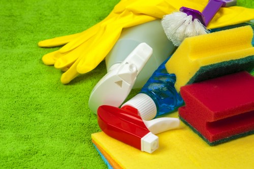 Upholstery cleaning equipment used in Roehampton property