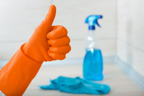 Final review stage in a cleaner complaints procedure