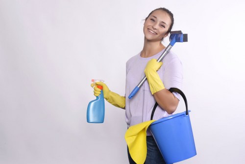 Specialist stain removal equipment used for upholstery and rugs
