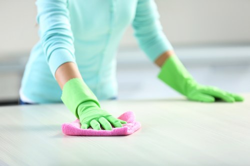 Local Roehampton cleaning professional preparing a property for guests