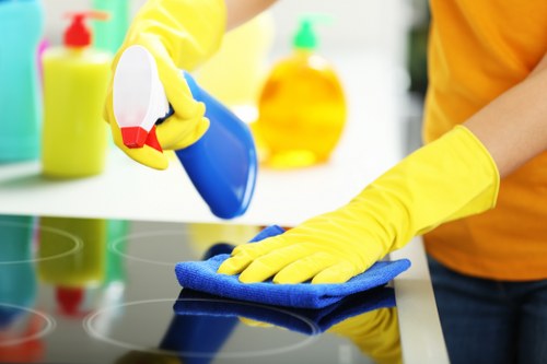 Professional deep clean for a flat in Roehampton