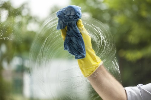 Carpet stain cleaning in a Roehampton apartment or family home