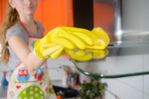 Kitchen and bathroom upkeep during a recurring clean in Roehampton
