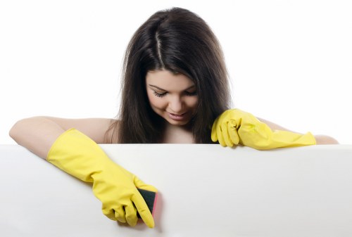 Deep cleaning treatment for pet stains and lingering smells in Roehampton