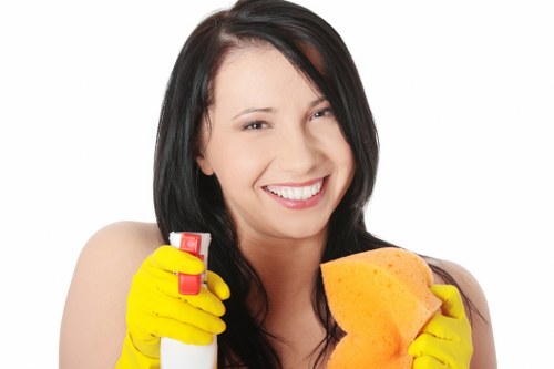 Professional regular cleaning for a small Roehampton business