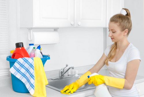 Thorough residential and commercial deep cleaning in Roehampton