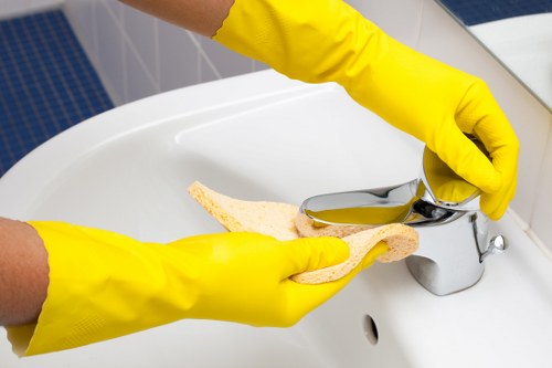 Cleaner Roehampton working in a bright living room with detailed care